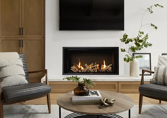Chimney Cleaning